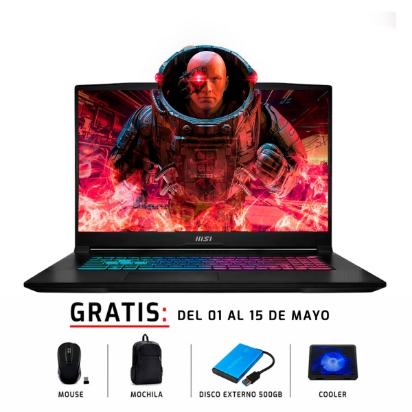 Laptops MSI KATANA 17 B13VFK 17.3”  Intel Core i7-13620H